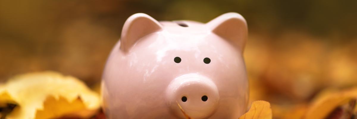 yield stable savings